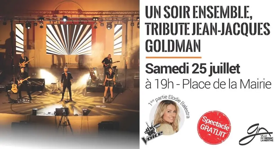 Un soir ensemble, soirée Jean-Jacques Goldman