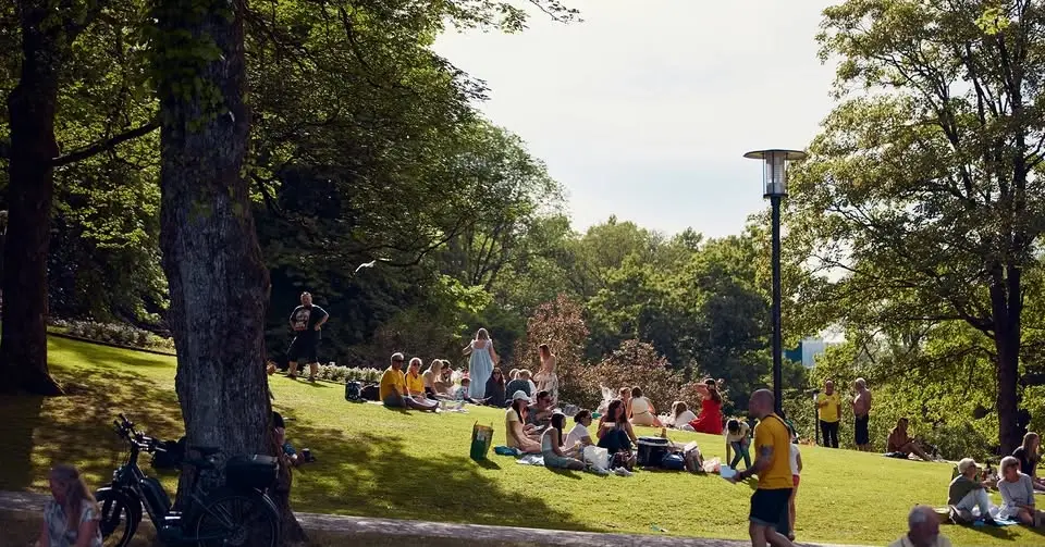 Fira Borås födelsedag