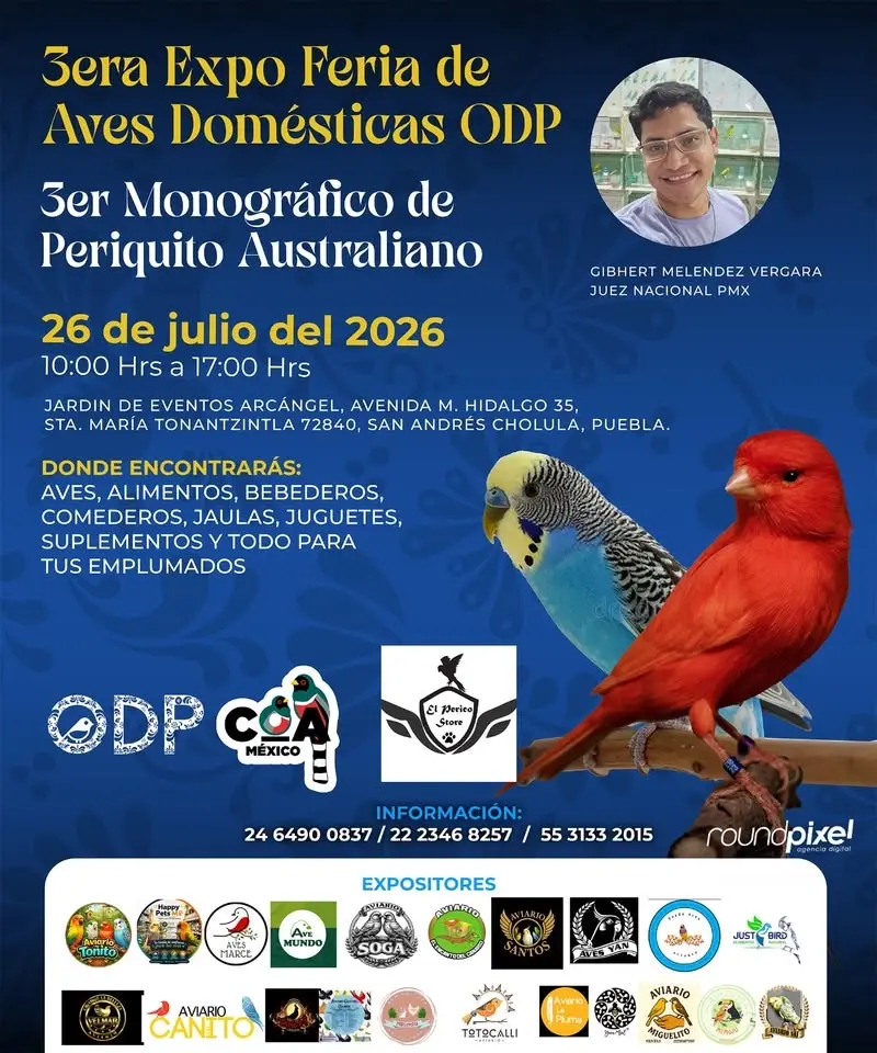 Expo Feria de Aves Domesticas ODP