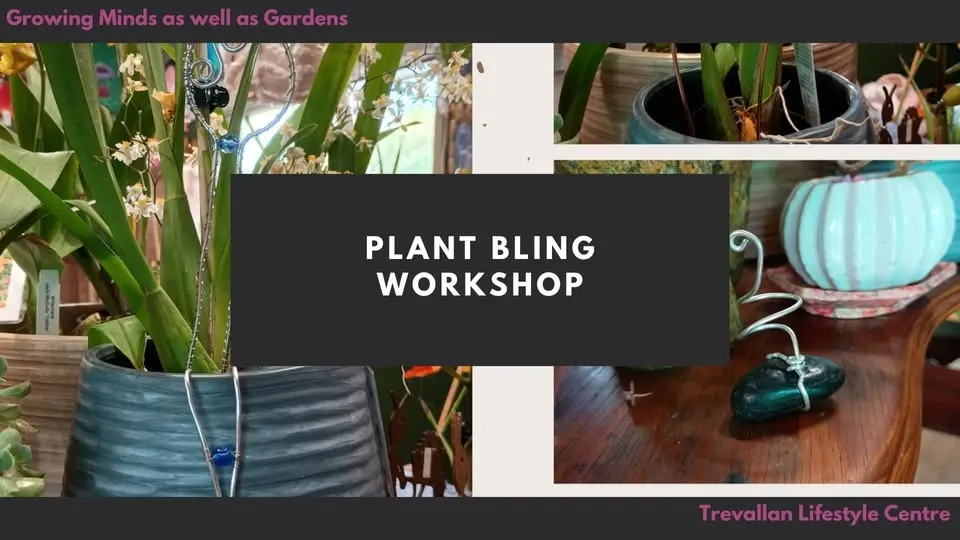 Plant Bling Workshop