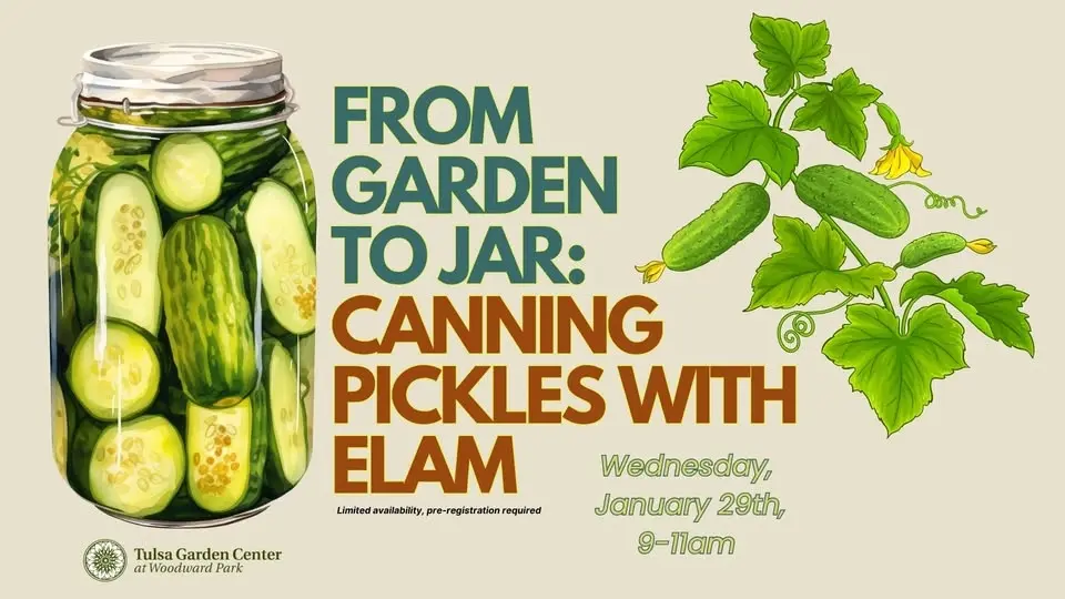 From Garden to Jar: Canning Pickles with Elam