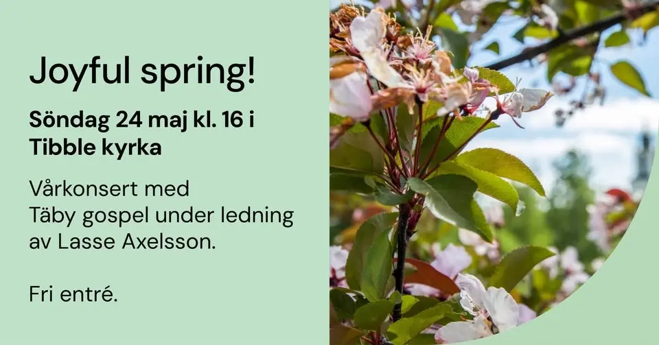 Joyful Spring!