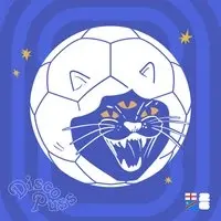 DISCO PUSS: "Disco Ball's coming home" - ENG vs DR CONGO