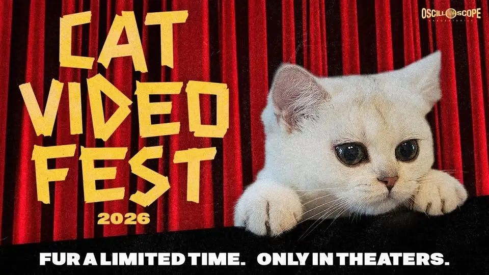 CatVideoFest 2026