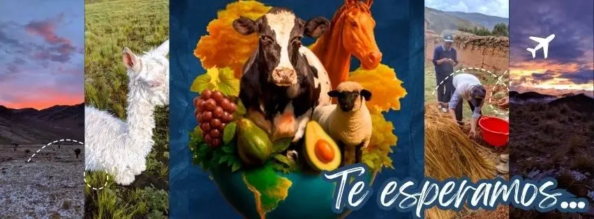 MUSICA EN VIVO