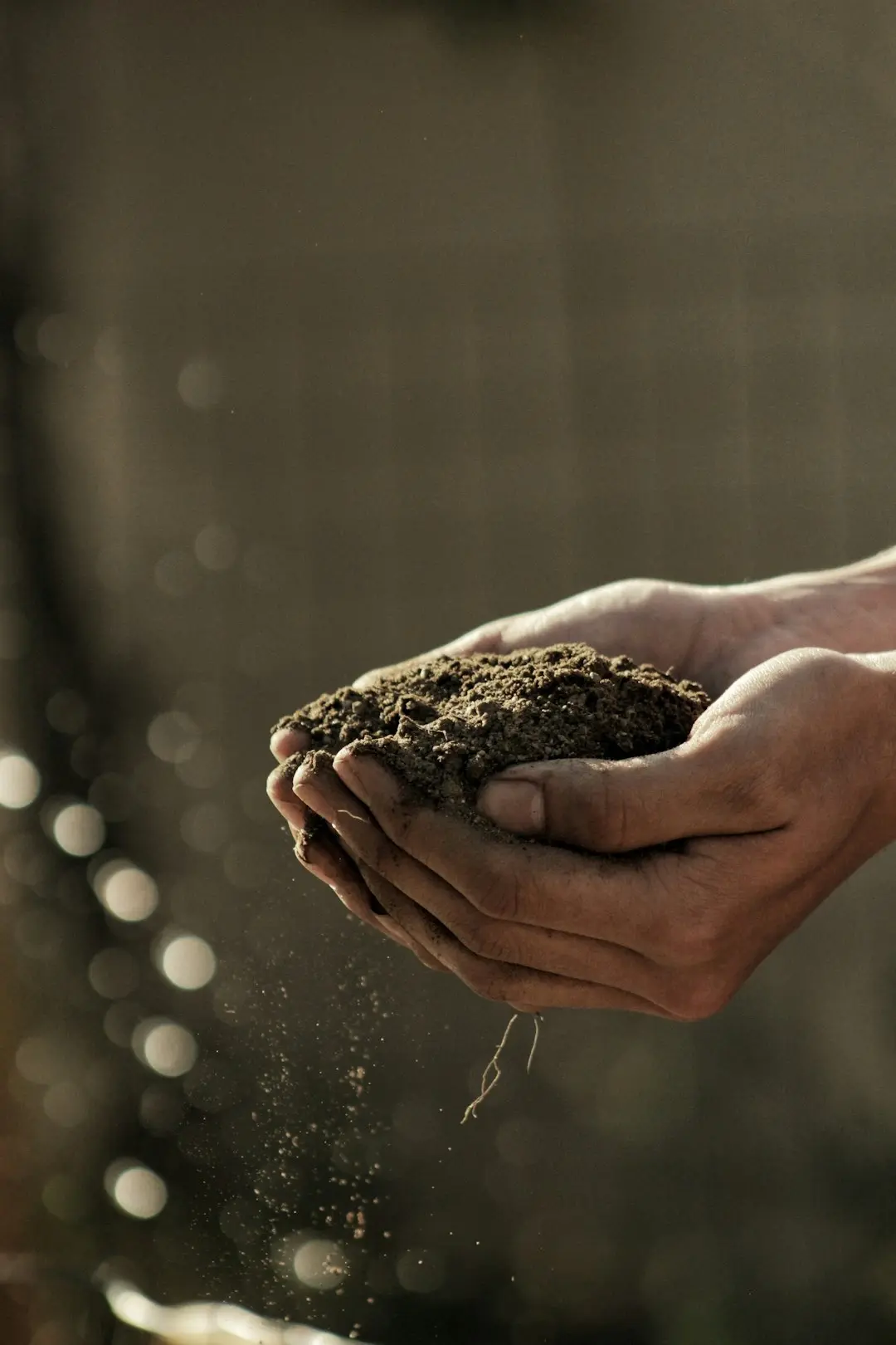 Agricoltura rigenerativa: scienza o leggenda?