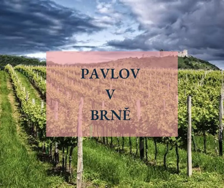 Pavlov v Brně vol. 8