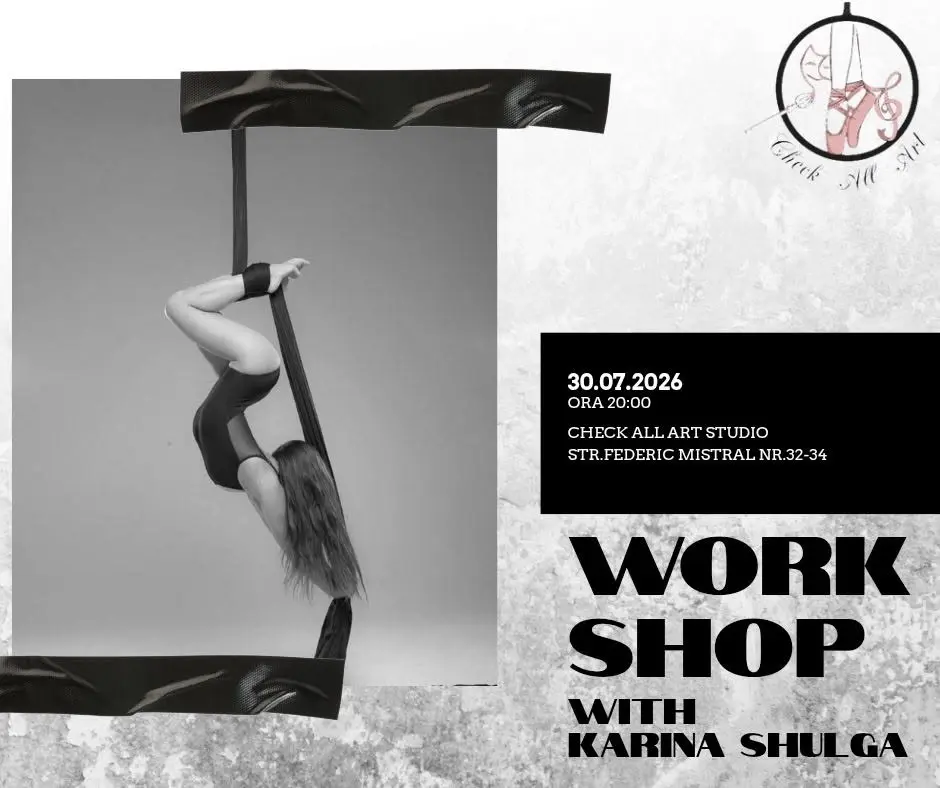 workshop silk and hoop aerial