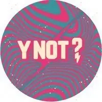 Y Not Festival