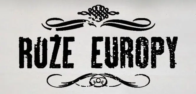 Róże Europy w Stacji Arenda!
