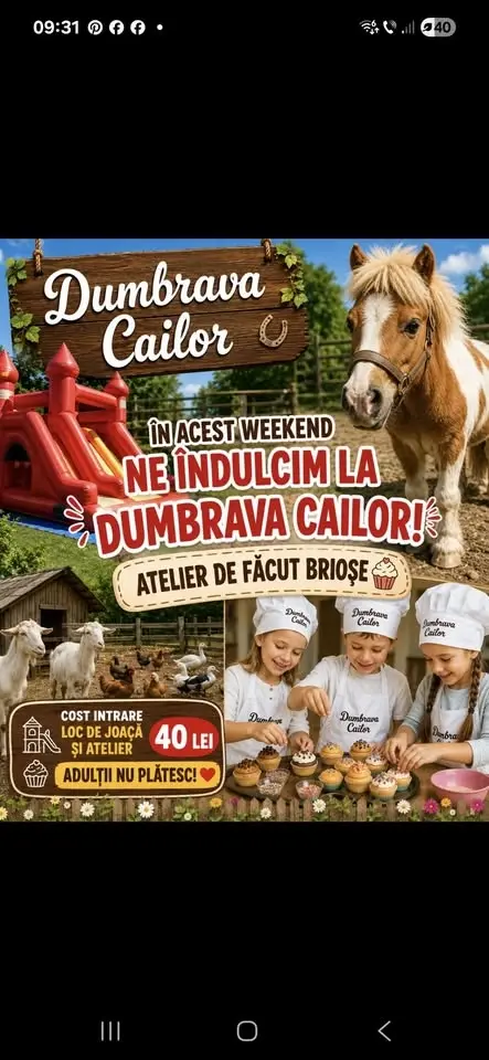 In acest weekend, ne indulcim la Dumbrava Cailor