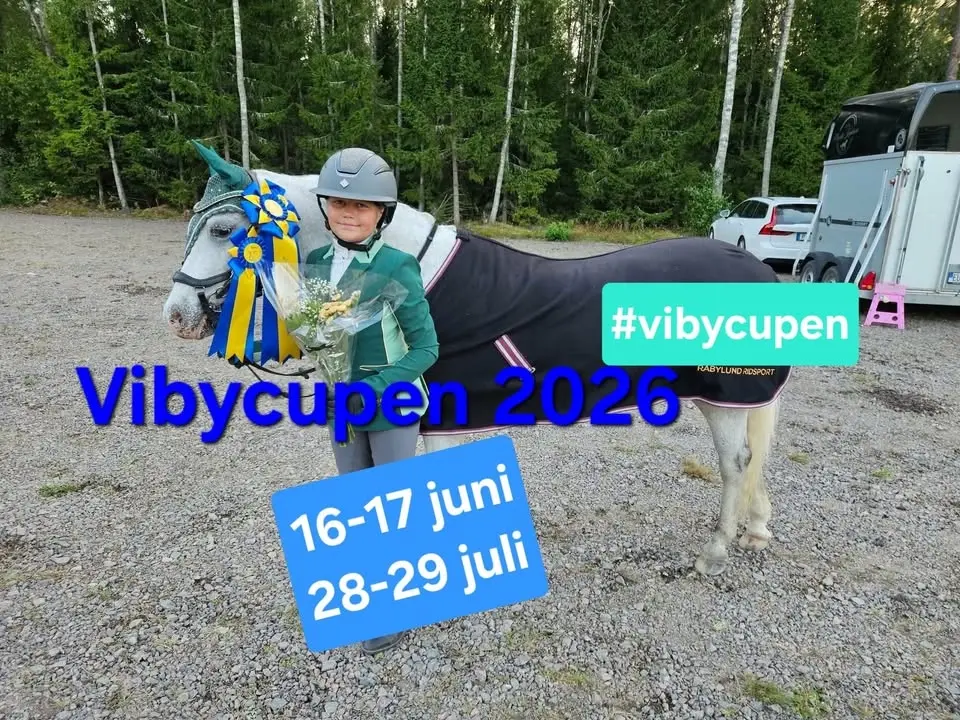 Vibycupen 2026 đđ