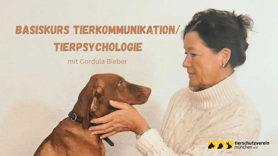 Basiskurs Tierkommunikation/Tierpsychologie