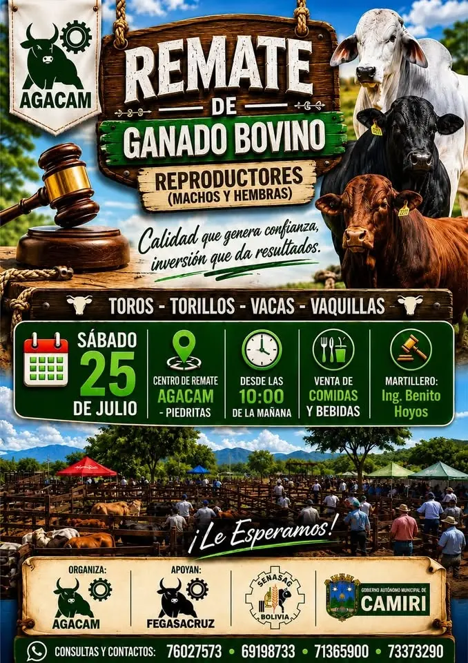 REMATE DE GANADO BOVINO 