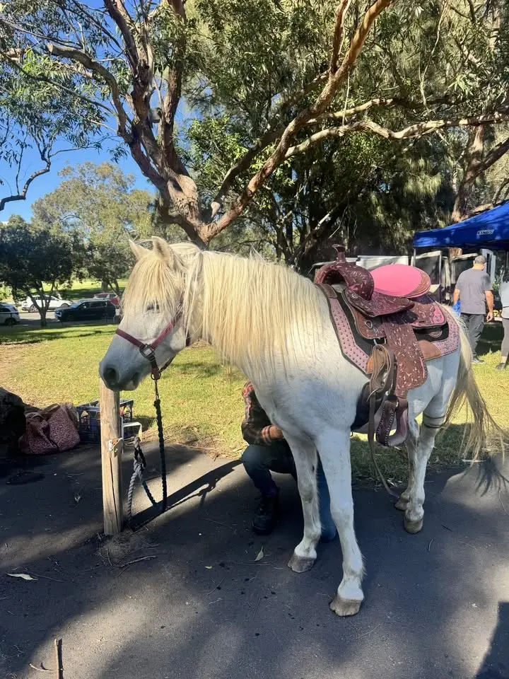 Earlwood Foodies Farmers & Artisans Market