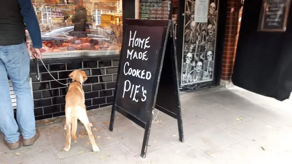 Ealing Walks with a Difference - Around South Ealing