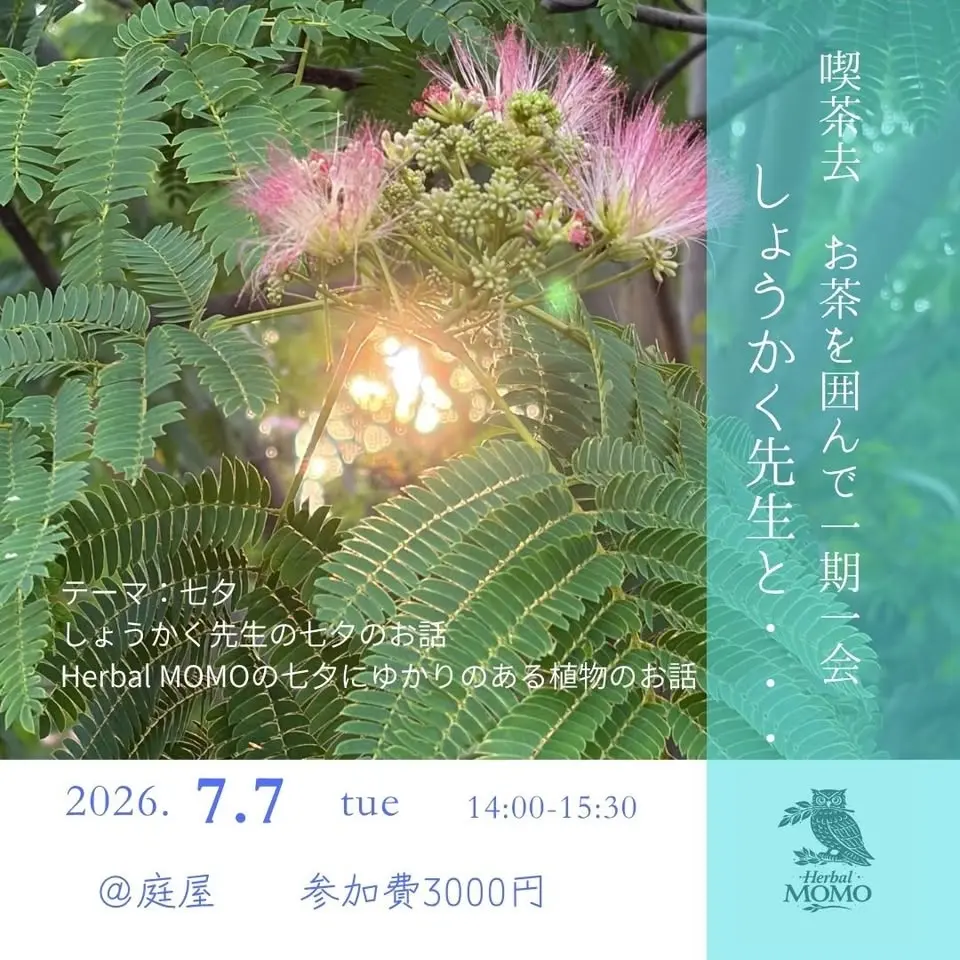 喫茶去 お茶を囲んで一期一会