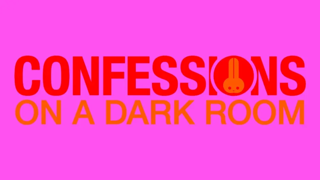 Hole: Confessions On A Dark Room