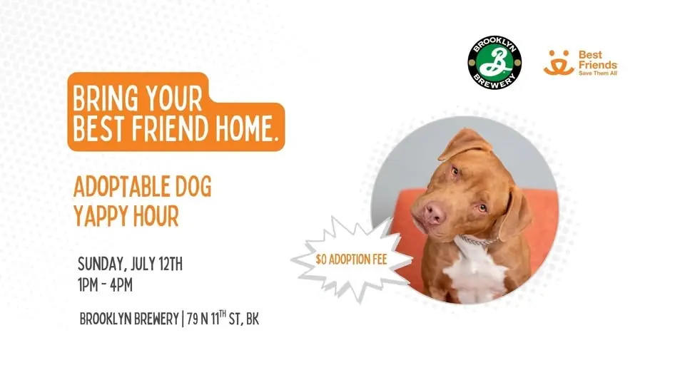 Dog Adoption Event at Brooklyn Brewery