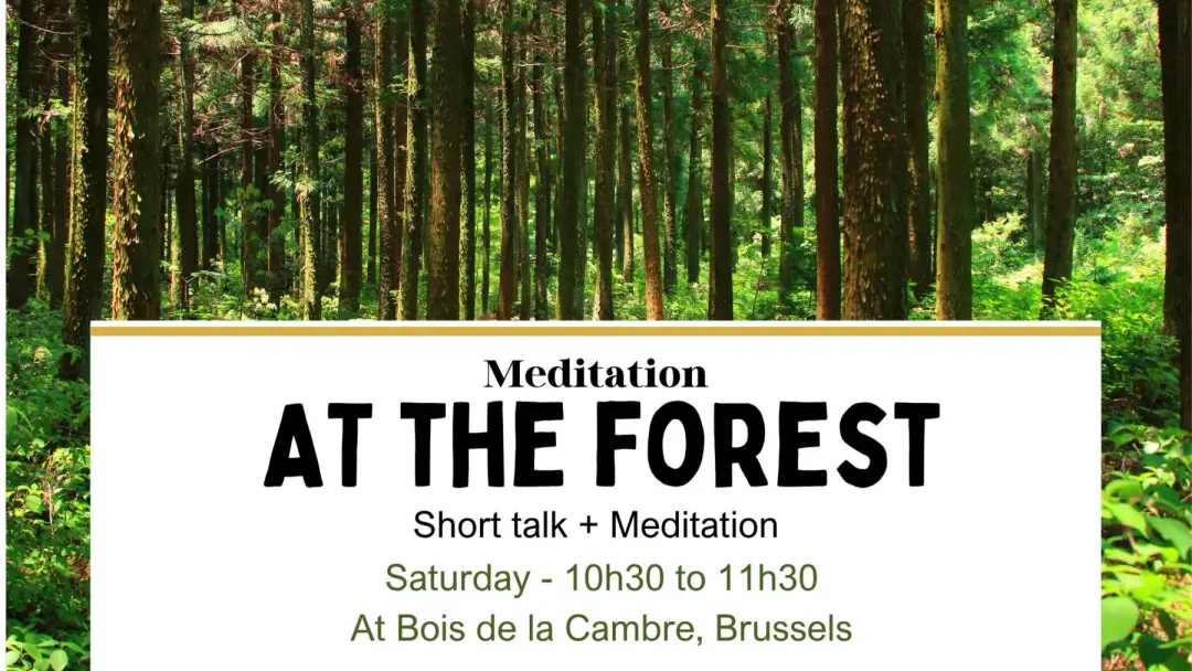 Meditation at the forest