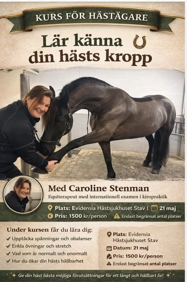 Lär känna din hästs kropp