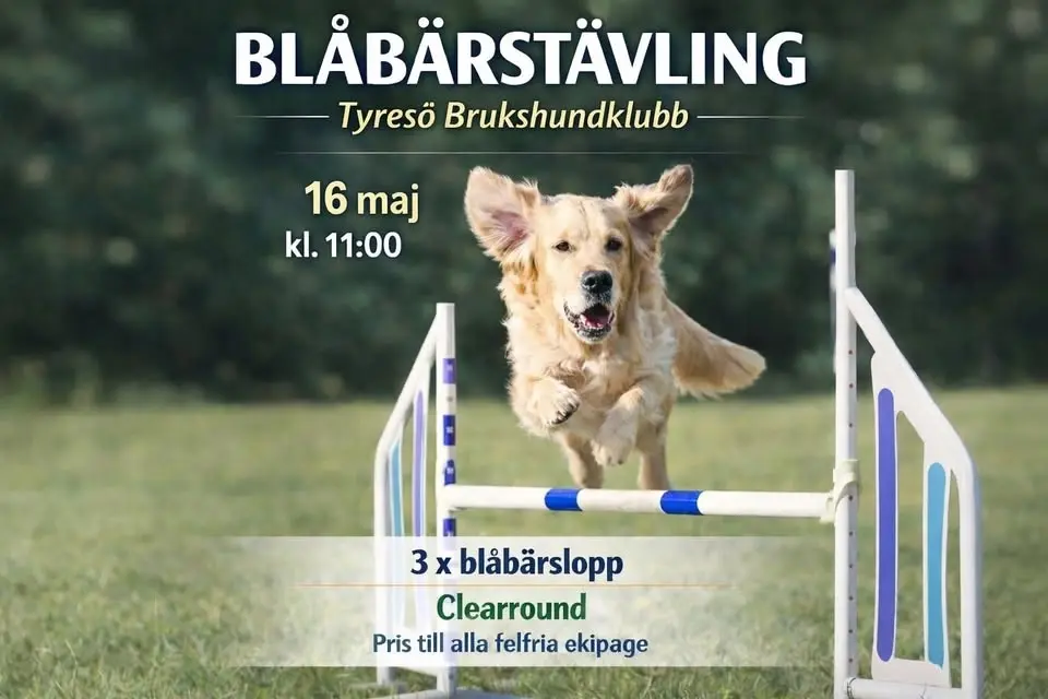 Blåbärstävling Tyresö BK 16 maj 2026
