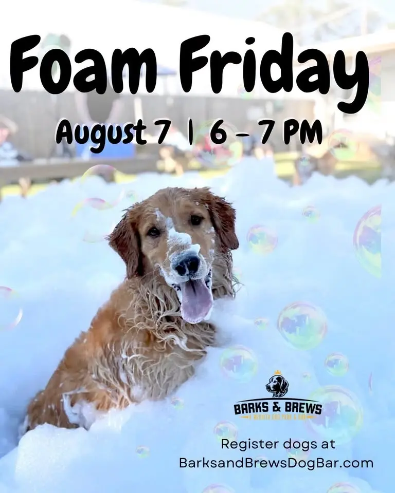Foam Friday at Barks & Brews