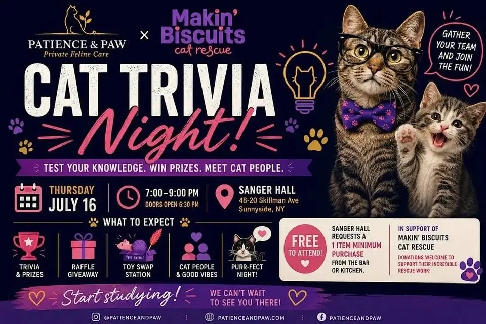 Cat Trivia Night with Patience and Paw