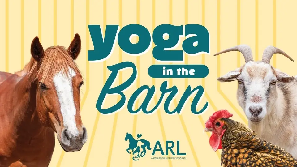 ARL Yoga in the Barn