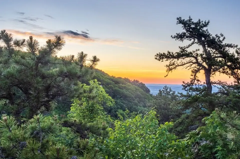 Millbrook Ridge. Volunteer Led Hike - Wednesday Walks Series