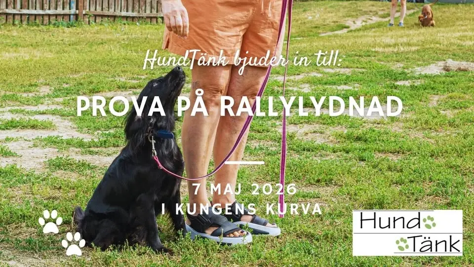 Prova på Rallylydnad!