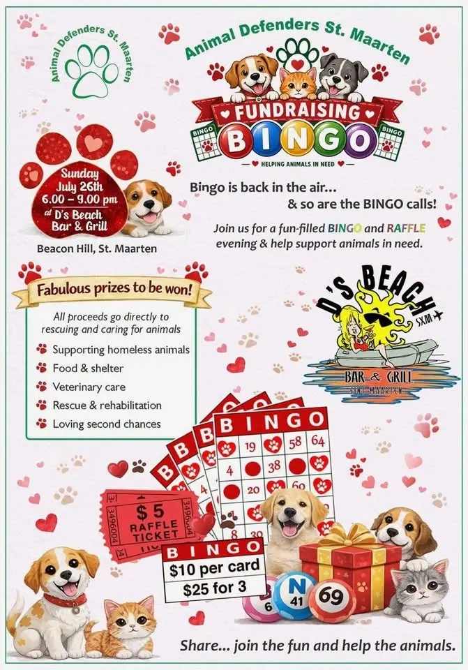 Summer fundraising bingo!