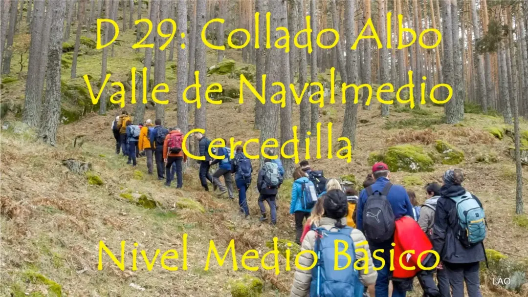 D 29:  Mirador de Collado Albo, Valle de Navalmedio. Cercedilla. N Medio/Básico.