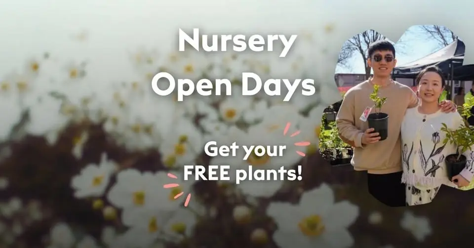 Nursery Open Day