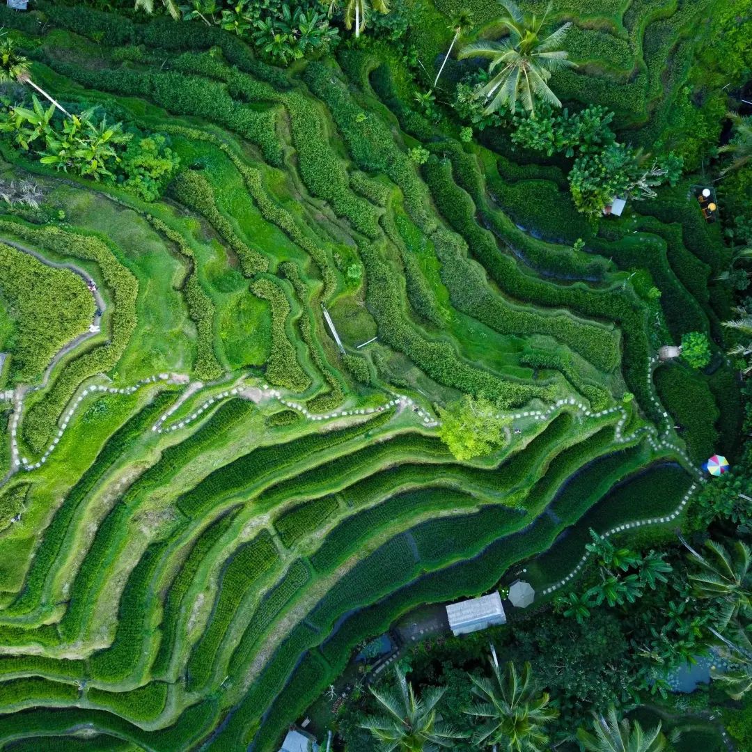 Stability Multipliers: Food and Climate Security in a Fractured World