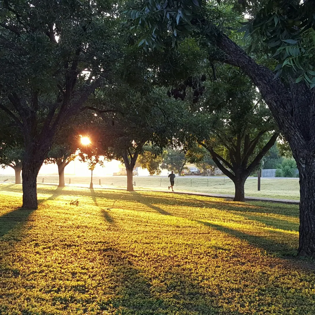 Walk & Talk: reflections on wellbeing, impact, entrepreneurship and resilience.
