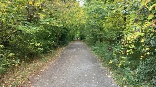 Saturday Nature and Neighbourhood Walk! (Dinner Party, Live Band, Dancing)