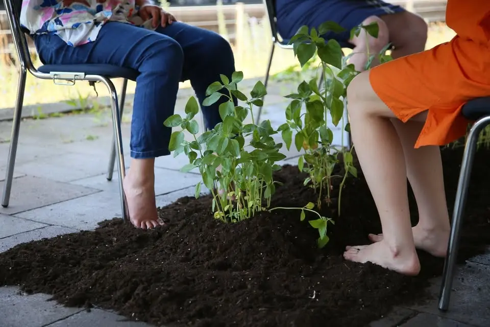We are (like) plants – Workshop med Hiroko Tsuchimoto