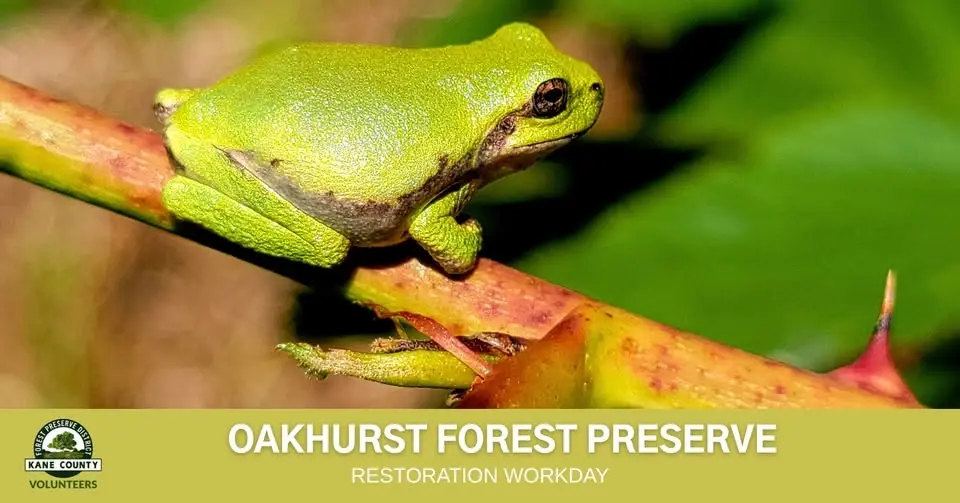 Volunteer Workday - Oakhurst Forest Preserve