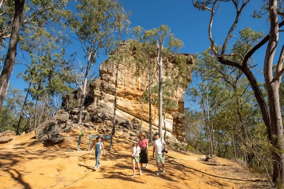 (Easy) Hike & Brunch - White Rock - Ridge Track (8:30am)
