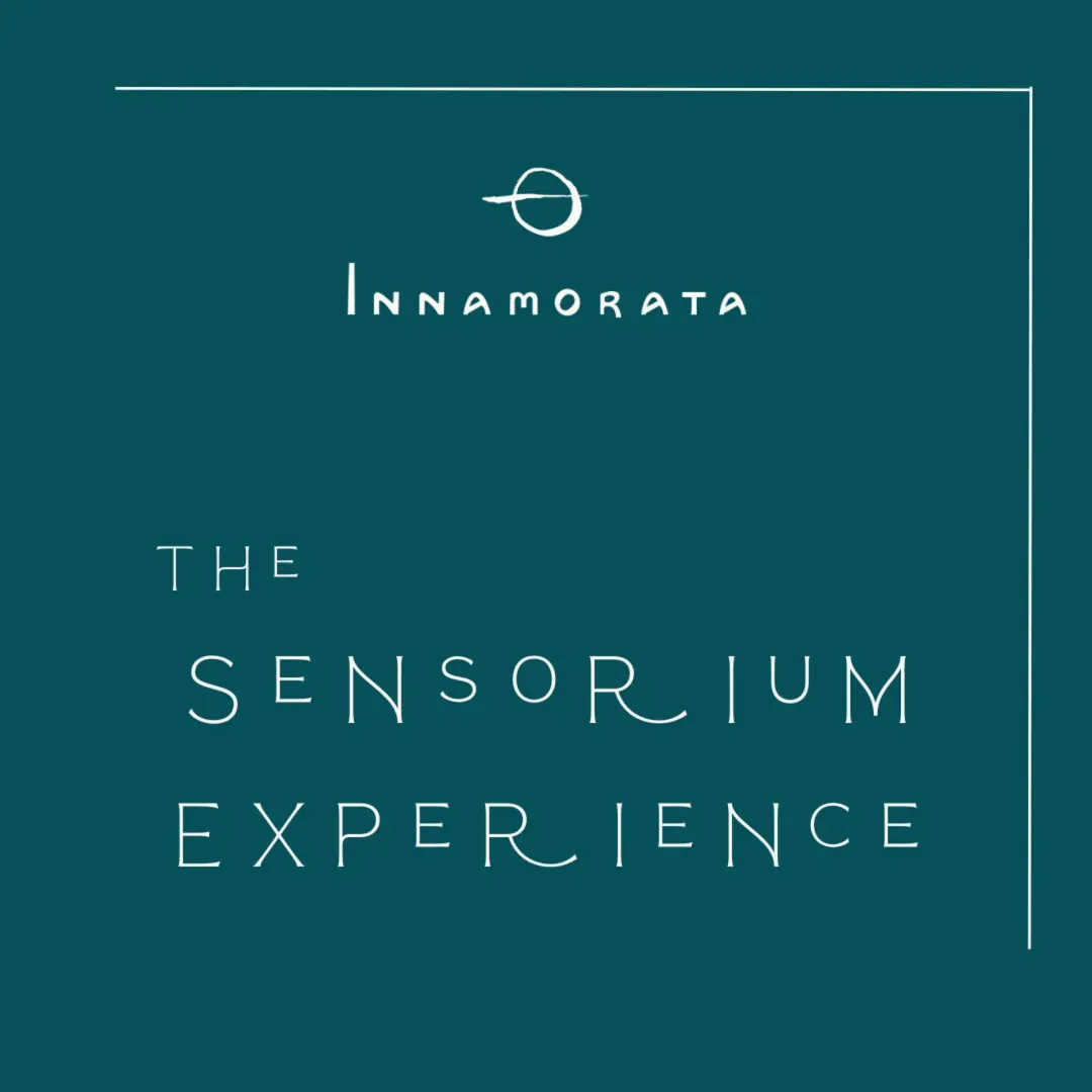 The Sensorium Experience