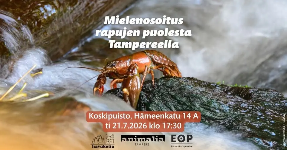 Mielenosoitus rapujen puolesta