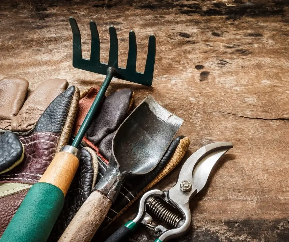 Gardening Tools: Tool School – Basic to Brilliant  