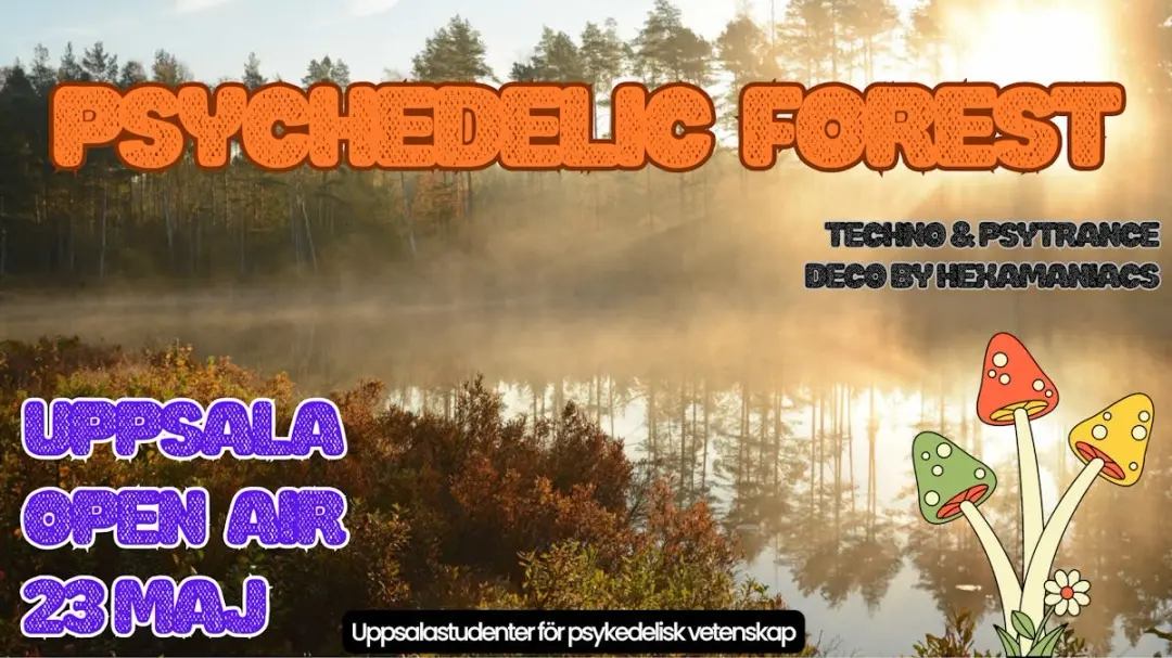 Psychedelic Forest