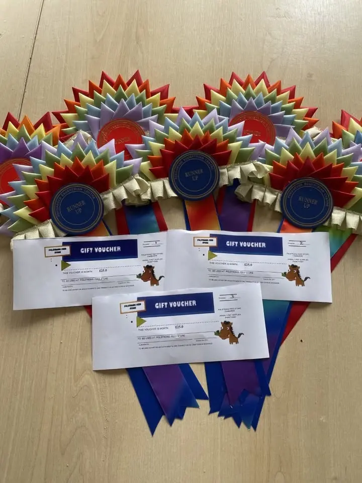 Pendarves Unaffiliated Show Jumping