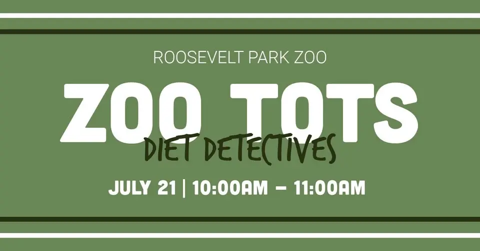 Diet Detectives - Summer Camp