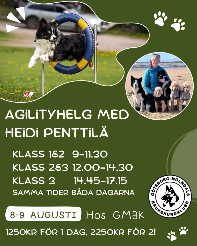 Agilityhelg med Heidi Penttilä hos GMBK!
