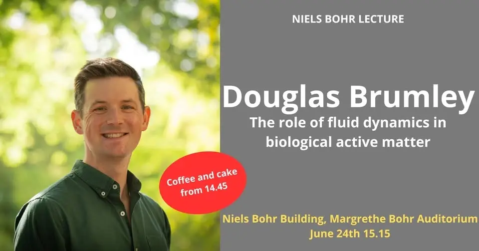 The role of fluid dynamics in biological active matter
