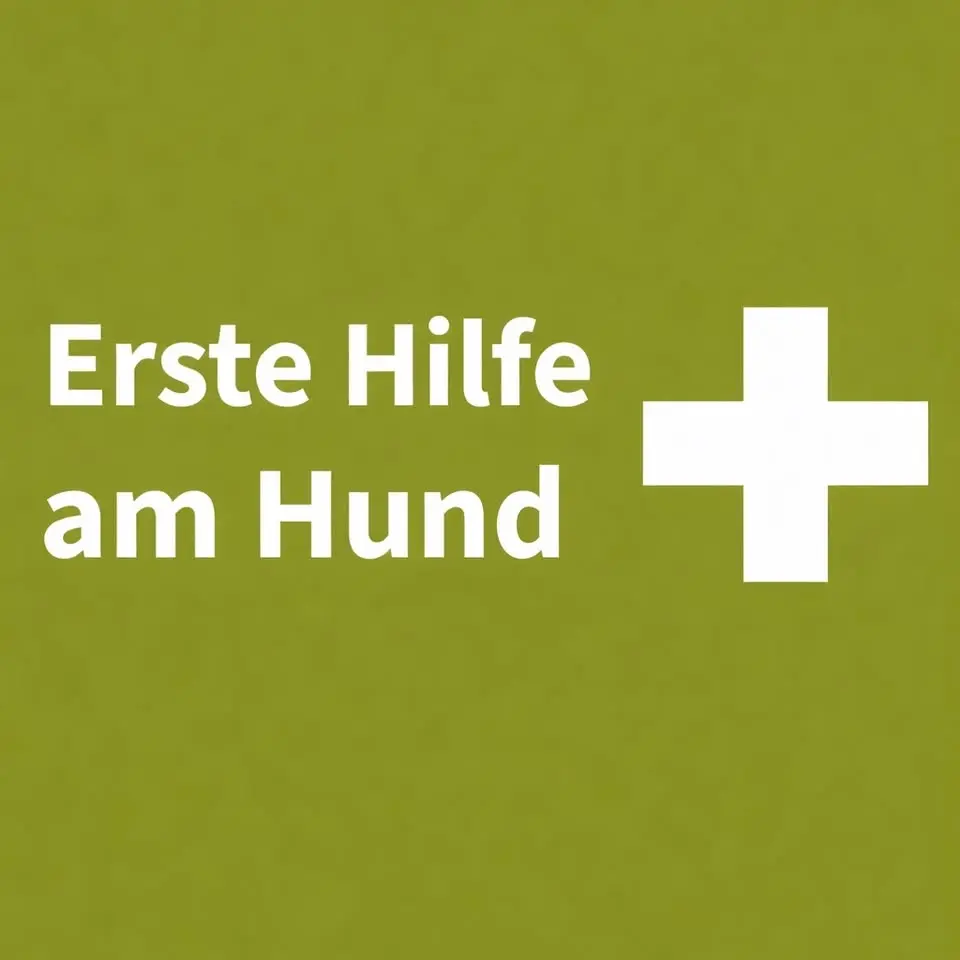 Erste Hilfe am Hund