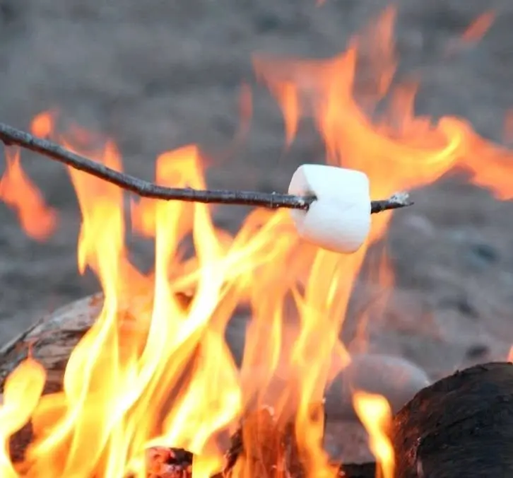 Smashing s'mores